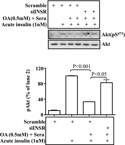 Fig. 9.