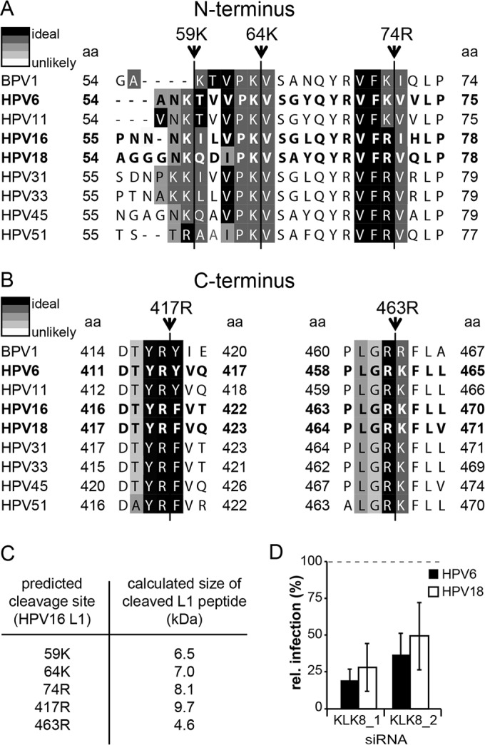 FIG 6