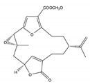 graphic file with name molecules-24-00781-i008.jpg