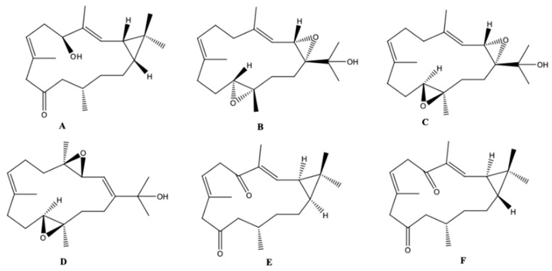 Figure 16