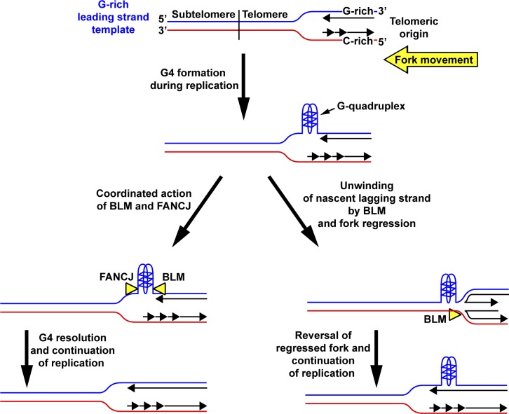 Figure 10.