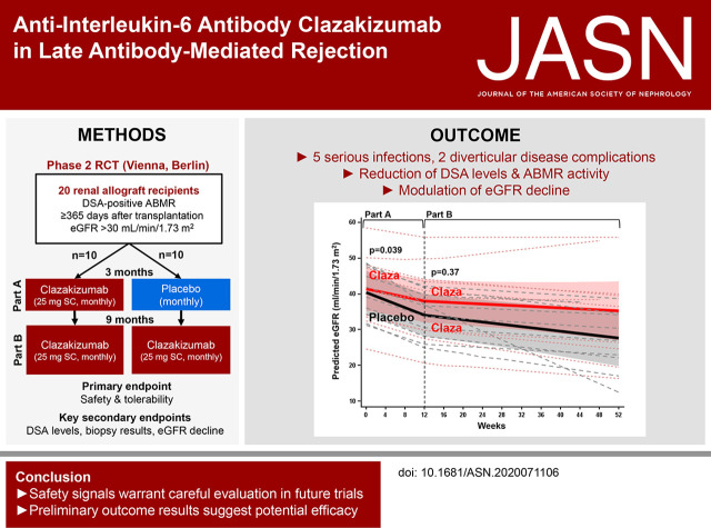 graphic file with name ASN.2020071106absf1.jpg