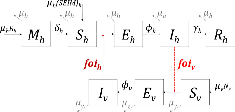 Fig 1