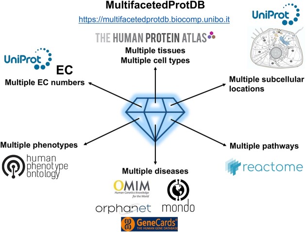 Graphical Abstract