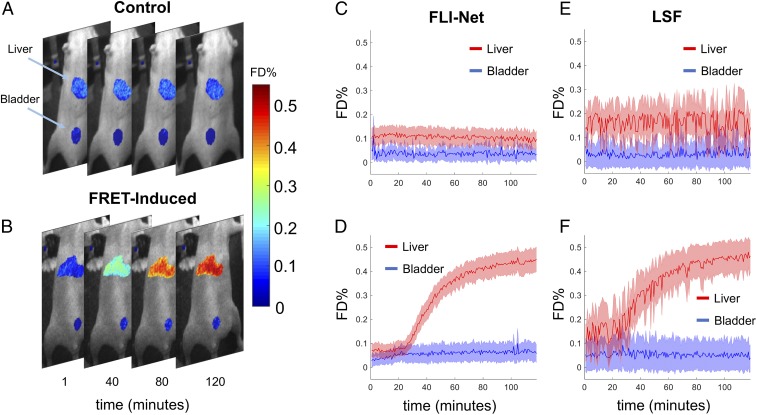 Fig. 6.