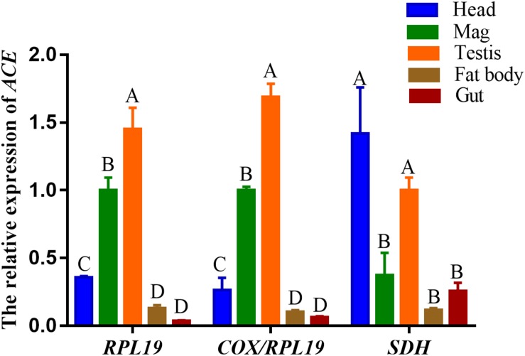 FIGURE 5