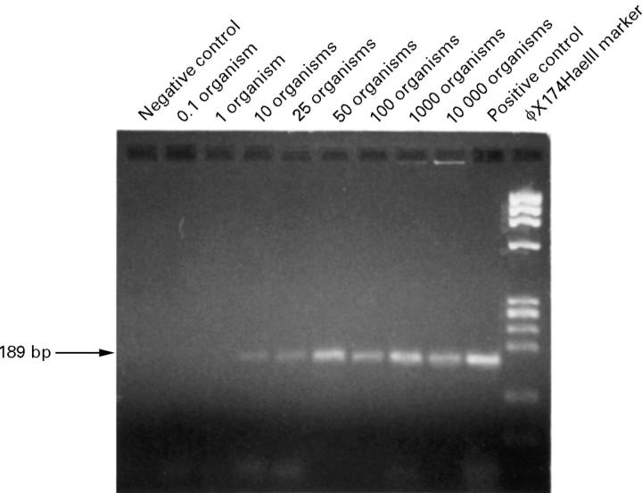 Figure 6  