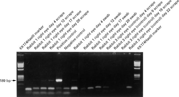 Figure 4  