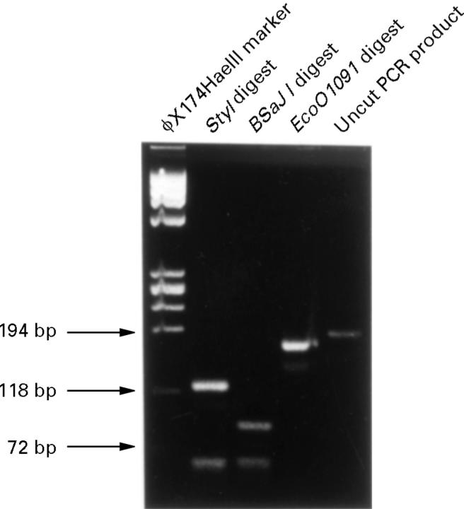 Figure 5  