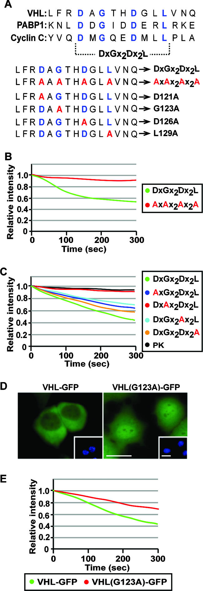 FIG. 6.