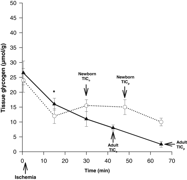 Figure 4)