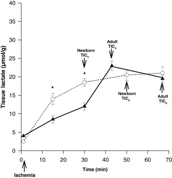 Figure 2)