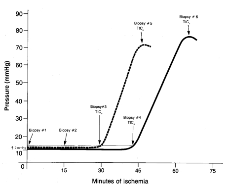 Figure 1)