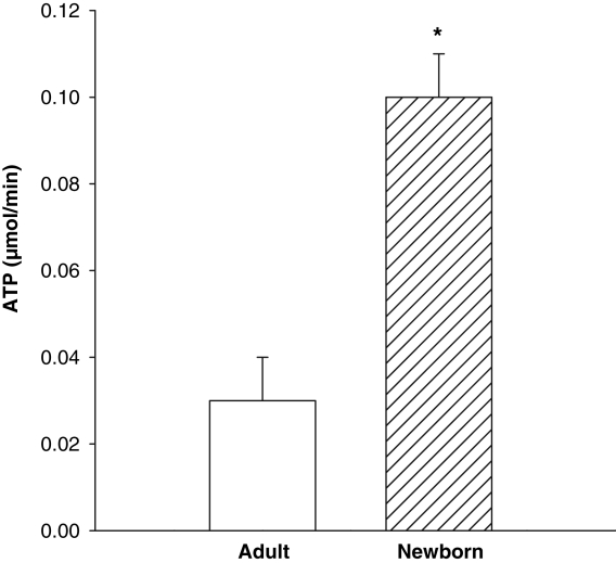 Figure 3)