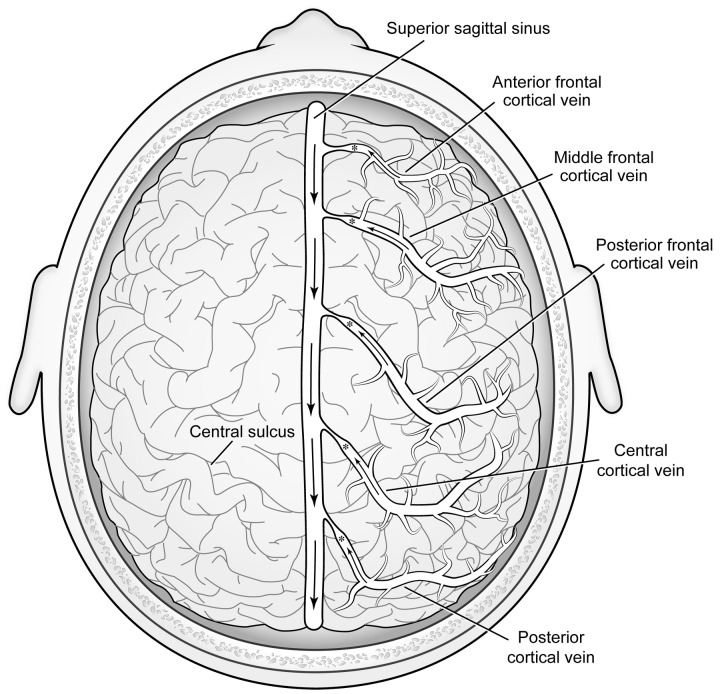 FIGURE 19