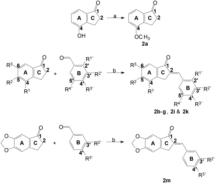 Scheme 1