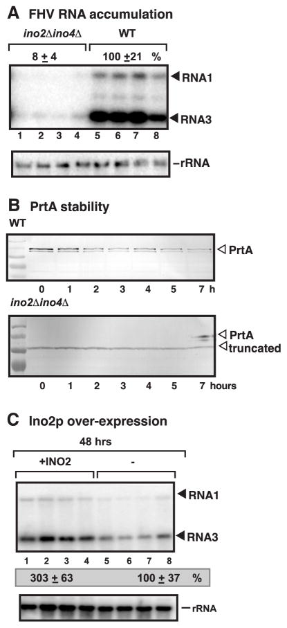 Fig 9