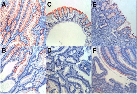 Fig. 5