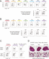 Figure 1—figure supplement 1.
