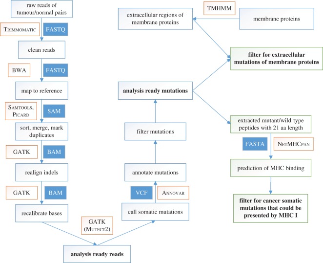 Figure 2.