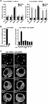 FIG. 7.