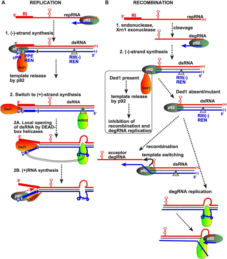 Fig 9