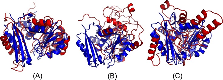 Fig 20