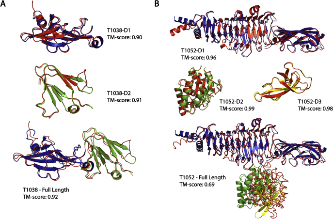 Figure 7