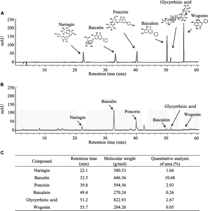 FIGURE 1