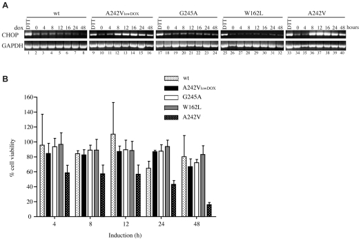 Fig. 6.