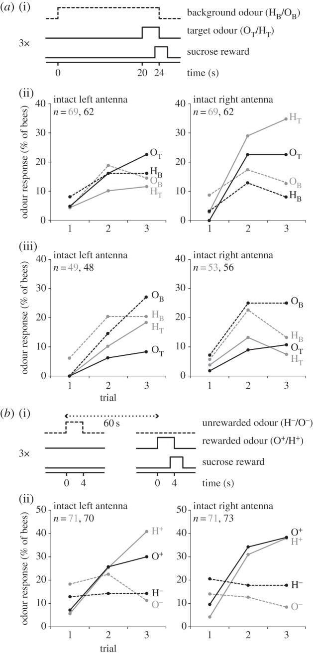 Figure 3.