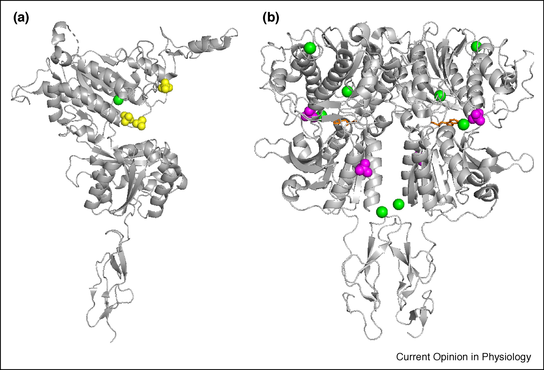 Fig.2.