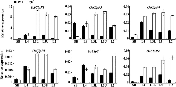 Figure 7.