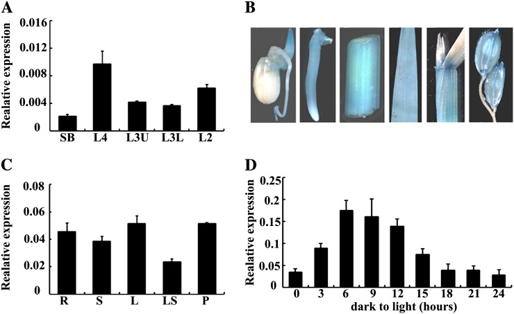 Figure 6.