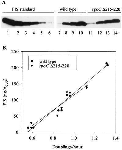 FIG. 5