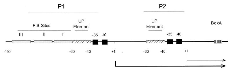 FIG. 1