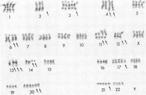 graphic file with name pnas00328-0480-a.jpg