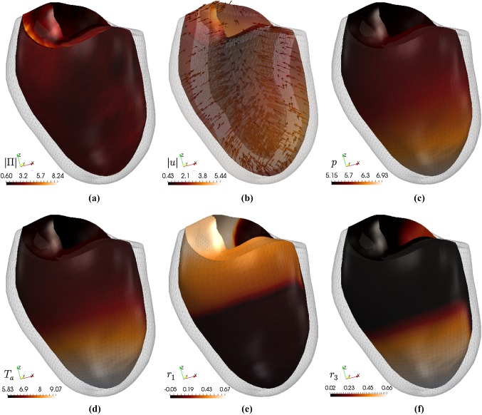 Fig. 10