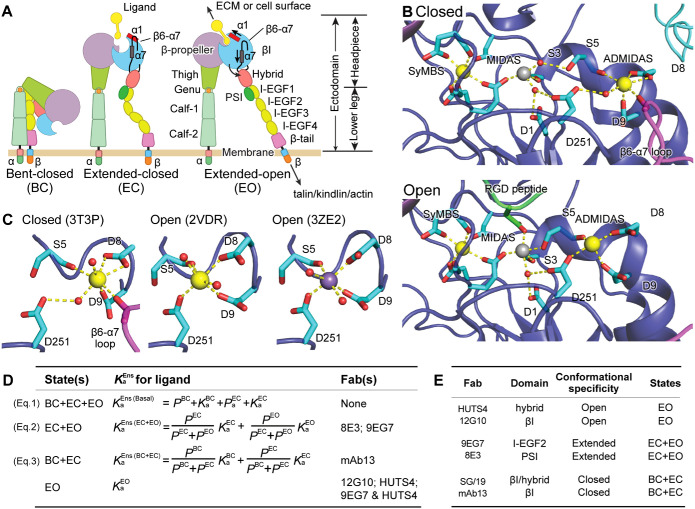 FIGURE 1: