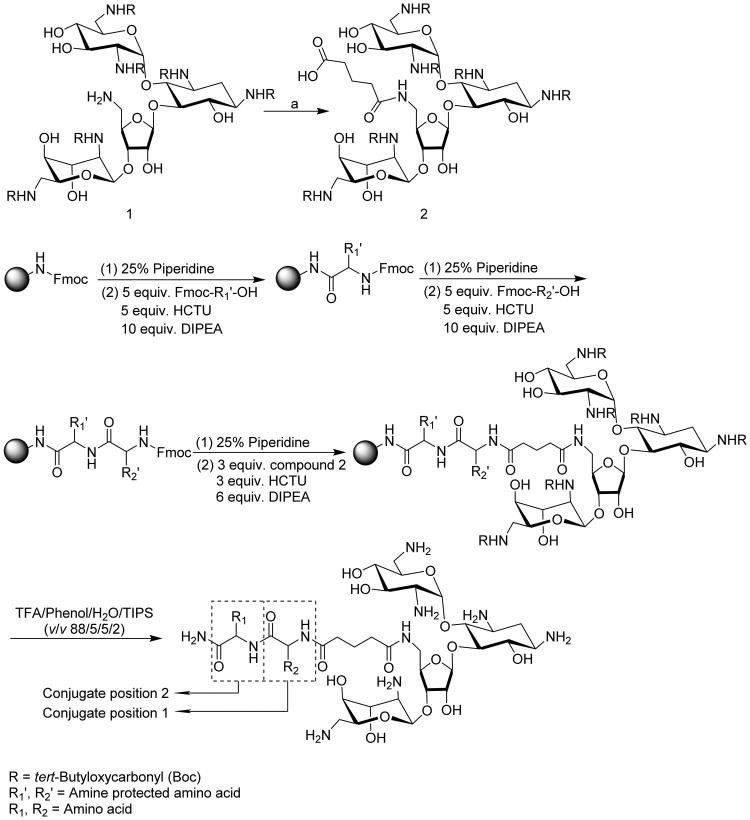 Scheme 1