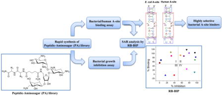 graphic file with name nihms757434u1.jpg