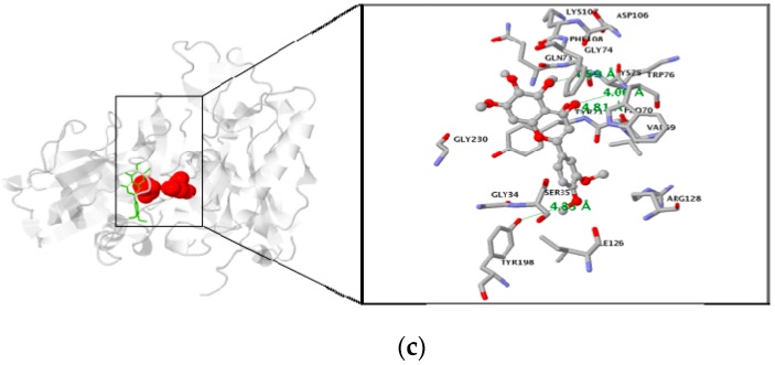 Figure 5