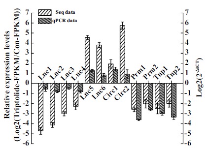 Fig. (3)