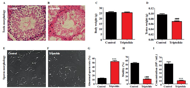 Fig. (1)