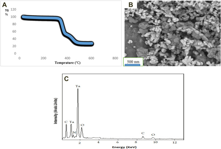 FIGURE 1