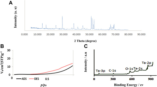 FIGURE 2