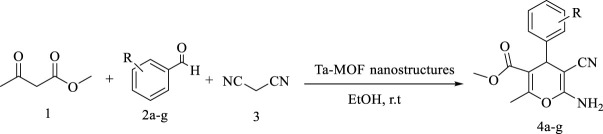 SCHEME 3