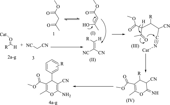 SCHEME 4