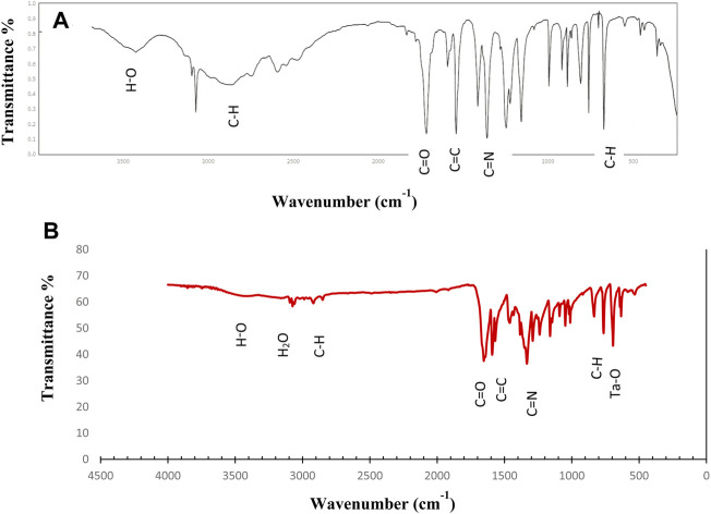 FIGURE 3