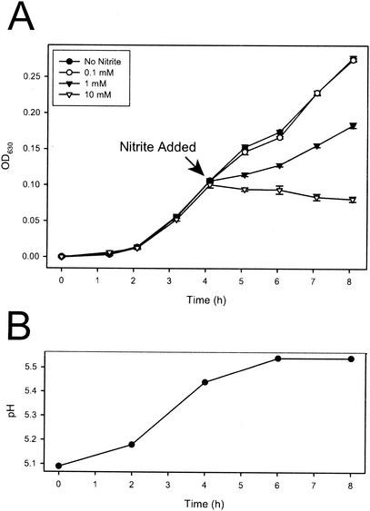 FIG. 1.